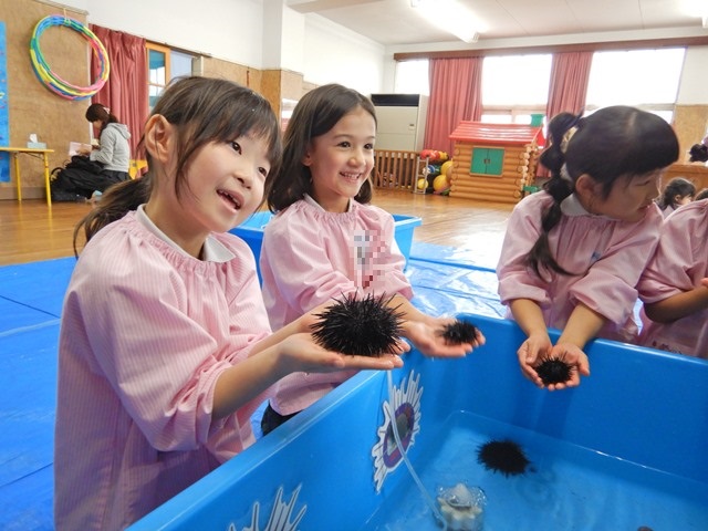 移動水族館 In 和光幼稚園 株式会社アクアガイド 環境調査や移動水族館を行っている会社です
